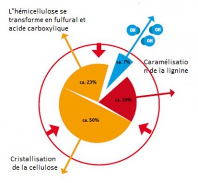 hemicellulose