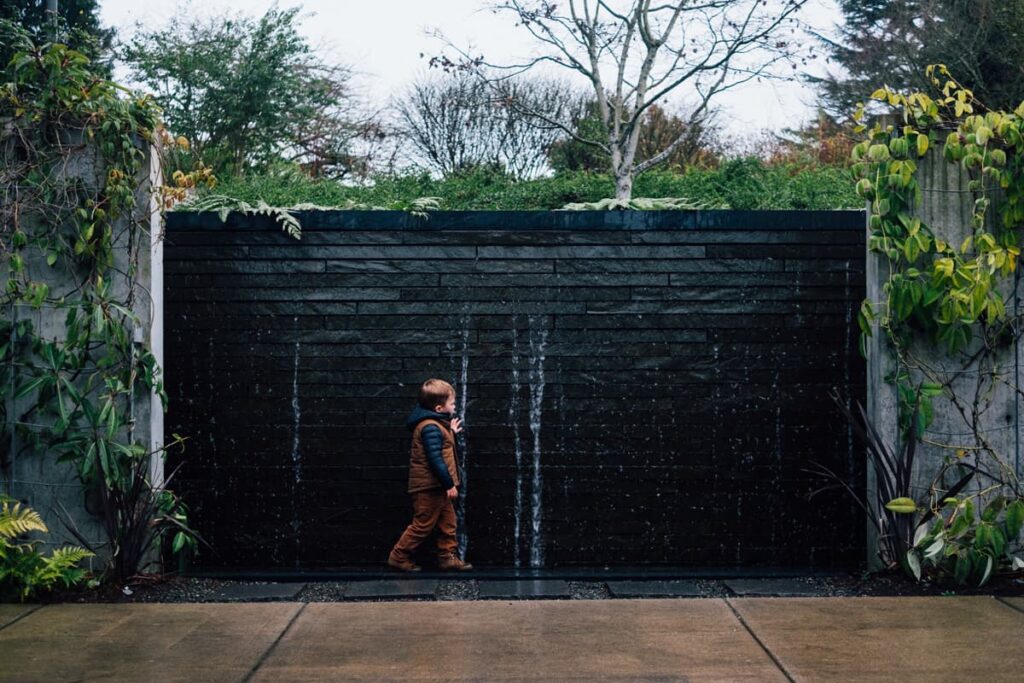 mur noir jardin